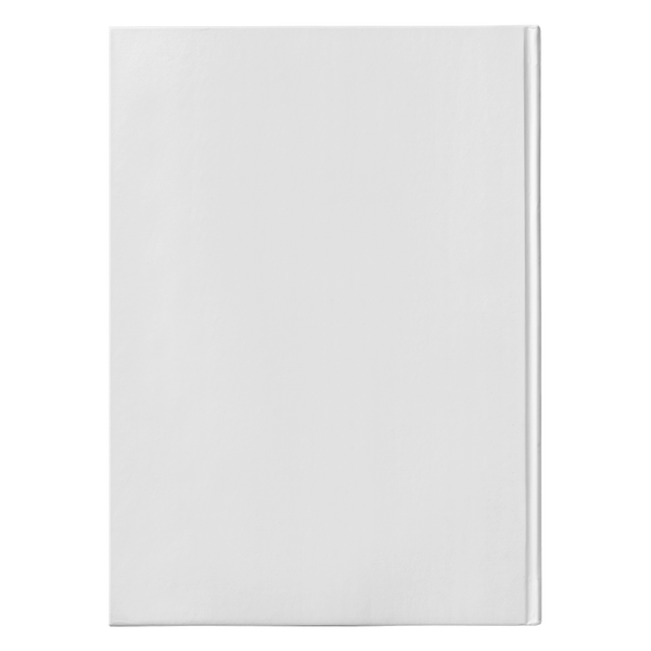 Skyward Tours Journal